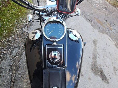 2009 Harley-Davidson Softail Custom, чёрный, 1200000 рублей, вид 5