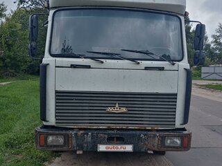 2006 МАЗ 4370, белый, 600000 рублей, вид 5