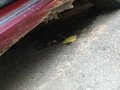 2008 Renault Logan I, пурпурный, 125000 рублей - вид 5