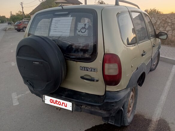 2002 Chevrolet Niva I, серебристый, 230000 рублей - вид 8