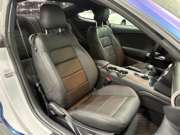 2019 Ford Mustang VI Рестайлинг, серый, 2090000 рублей - вид 19
