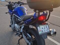 2008 Suzuki Bandit GSF 650, синий, 410310 рублей - вид 4