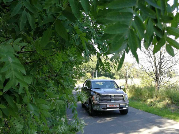 2010 Dodge RAM IV (DS/DJ), коричневый - вид 25