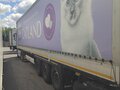 2019 Krone Profi Liner, серый, 2400000 рублей - вид 3