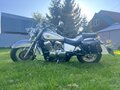 2007 Honda Shadow 750, серебристый, 800000 рублей - вид 2