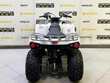2025 Bison ATV200, белый, 218990 рублей, вид 4