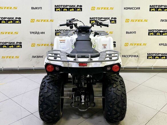 2025 Bison ATV200, белый - вид 3