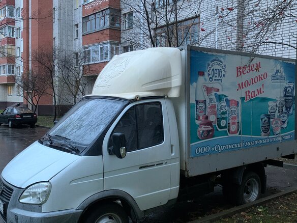 2010 ГАЗ ГАЗель (3302), белый, 760000 рублей - вид 4
