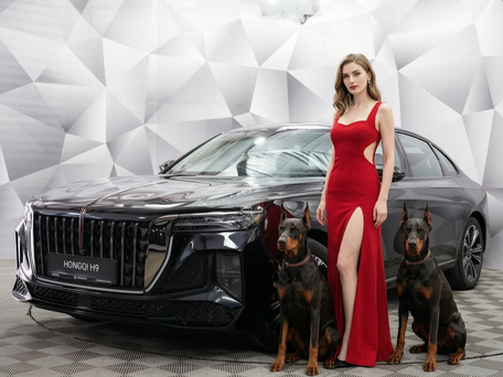 Hongqi H9 I Рестайлинг