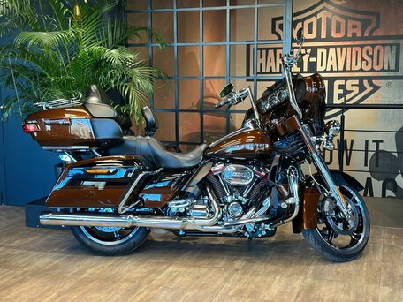 2019 Harley-Davidson CVO Limited, коричневый, 3850000 рублей, вид 2