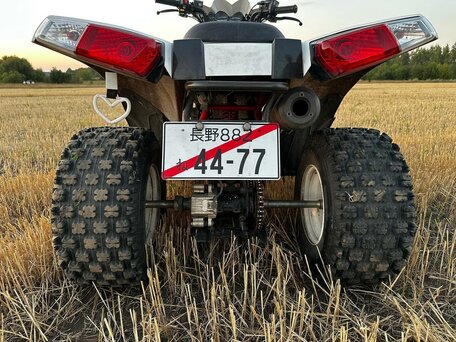 2016 Sym Husky 125, белый, 175000 рублей, вид 4