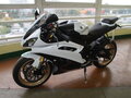 2013 Yamaha YZF-R6, белый - вид 7