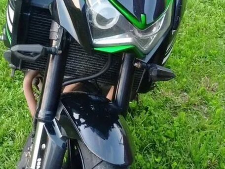 2013 Kawasaki Z 800, зелёный, 470000 рублей, вид 1