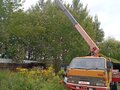 1993 Isuzu Elf (N-series), золотистый, 1700000 рублей - вид 2