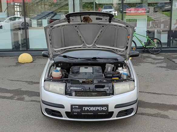 2006 Skoda Fabia I Рестайлинг, серебристый - вид 8