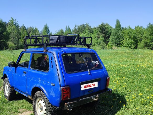 2003 Lada (ВАЗ) 2121 (4x4) I Рестайлинг, синий, 300000 рублей - вид 9