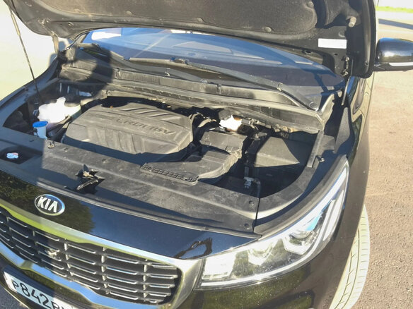 2019 Kia Carnival III, чёрный, 3050000 рублей - вид 16
