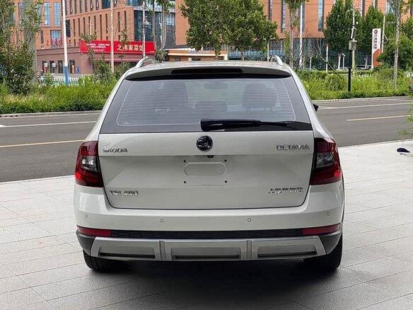 2019 Skoda Octavia III (A7) Рестайлинг, белый - вид 12