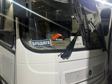 2013 ПАЗ 4234, белый, 570000 рублей, вид 1