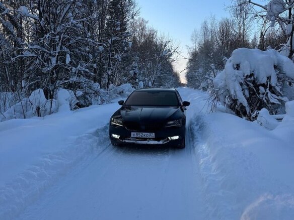 2018 Skoda Superb III, чёрный, 1750000 рублей - вид 35