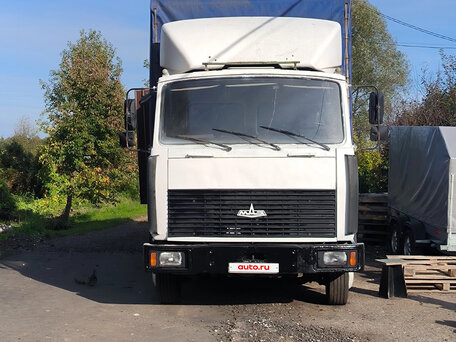 2006 МАЗ 4370, белый, 450000 рублей, вид 2