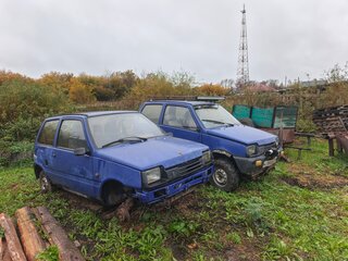 2004 Lada (ВАЗ) 1111 Ока КамАЗ, синий, 100000 рублей, вид 1