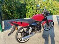 2012 Racer Tiger, красный, 59000 рублей - вид 4