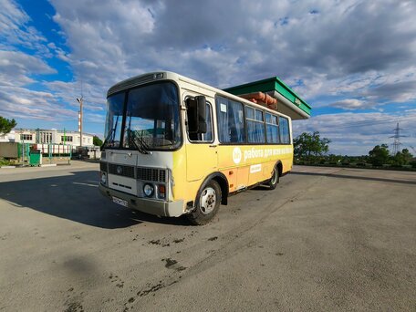 2010 ПАЗ 3205, белый, 299000 рублей, вид 3