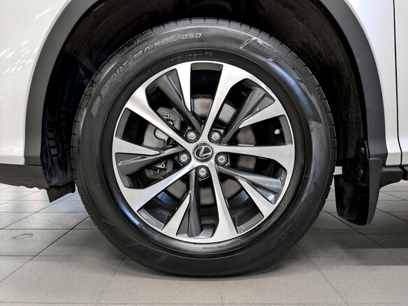 2021 Lexus RX 300 IV Рестайлинг, белый, 5999000 рублей - вид 19