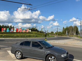 2001 Skoda Octavia I (A4) Рестайлинг, серый, 400000 рублей, вид 3
