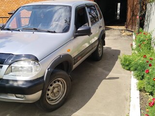 2004 Chevrolet Niva I, серебристый, 290000 рублей, вид 1