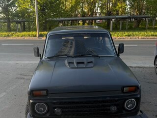 2005 Lada (ВАЗ) 2131 (4x4) I, серый, 200000 рублей, вид 1