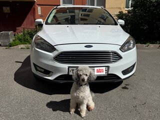 2017 Ford Focus III Рестайлинг, белый, 1100000 рублей, вид 2