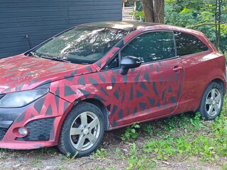 2009 SEAT Ibiza Cupra IV, красный, 420000 рублей, вид 1