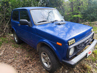2000 Lada (ВАЗ) 2121 (4x4) I Рестайлинг, голубой, 305000 рублей, вид 3