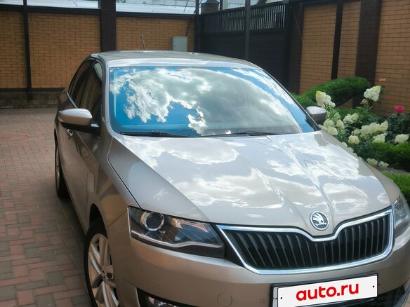 2019 Skoda Rapid I Рестайлинг, коричневый, 1250000 рублей - вид 1