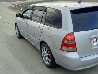 2001 Toyota Corolla Fielder IX (E120, E130), серый, 480000 рублей, вид 5