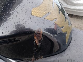 2006 Honda VFR 800, чёрный, 450000 рублей, вид 3