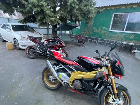 2006 Aprilia Tuono 1000, красный, 650000 рублей, вид 2