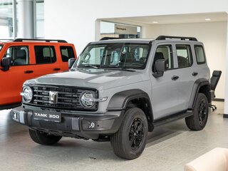 2026 Tank 300 I, серый, 4899000 рублей, вид 1