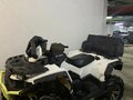 2016 Stels ATV-800 Guepard Trophy, белый, 670000 рублей - вид 3