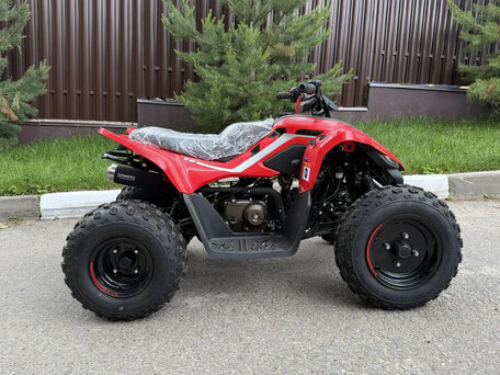 2026 CFMoto CFORCE 110, красный, 175000 рублей, вид 3