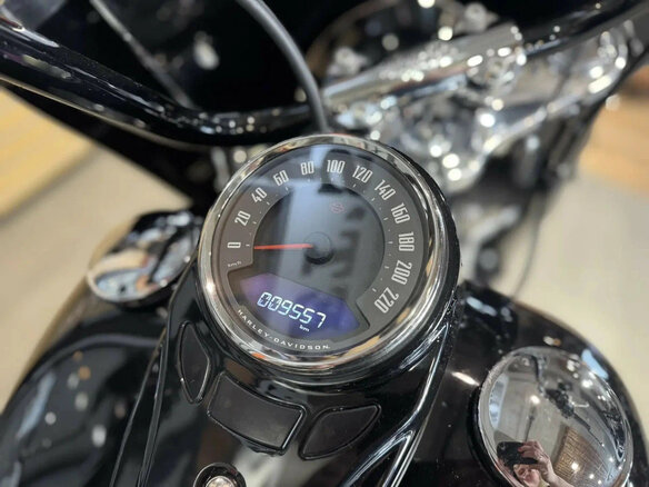 2021 Harley-Davidson Heritage, чёрный, 2290000 рублей - вид 6