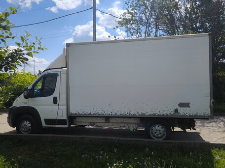 2013 Fiat Professional Ducato, белый, 1350000 рублей, вид 2