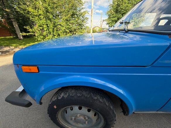 1977 Lada (ВАЗ) 2121 (4x4) I, синий, 1200000 рублей - вид 24
