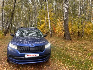 2020 Skoda Kodiaq I, синий, 2830000 рублей, вид 2