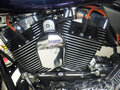 2009 Harley-Davidson Electra Glide, чёрный, 799000 рублей - вид 7