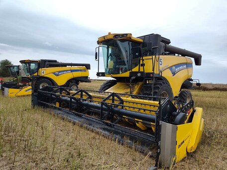 2017 New Holland CX6090, жёлтый, 21800000 рублей, вид 1