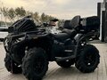 2026 Loncin XWolf 1000L Muddy, чёрный, 1399000 рублей - вид 6