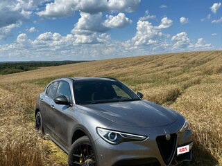 2019 Alfa Romeo Stelvio I, серый, 3750000 рублей, вид 1